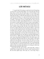 Đặc điểm riêng và mô hình tổ chức hạch toán kế toán của Công ty xuất nhập khẩu và đầu tư IMEXIN.DOC