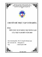 Thúc đẩy xuất khẩu mặt hàng gạo của Việt Nam đến năm 2020.doc