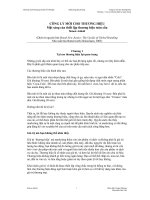 Công lý mới cho thương hiệu 