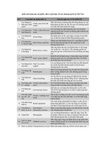 Danh sách hạng mục sản phẩm dịch vụ phù hợp với việc nhượng quyền tại Việt Nam