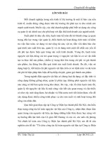 Tổ chức công tác kế toán nguyên vật liệu tại Công ty Điện lực thành phố Hà Nội.docx