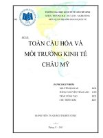 Toàn cầu hóa và môi trường kinh tế châu Mỹ.doc