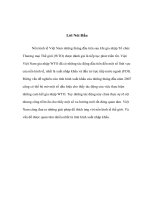 Thực trạng xuất nhập khẩu của Việt Nam khi gia nhập WTO.doc