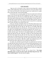 Vận dụng Marketing quốc tế trong việc đẩy mạnh xuất khẩu hàng dệt may Việt Nam vào thị trường EU