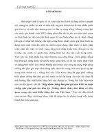 Hiệp định chống bán phá giá của WTO và Luật chống bán phá giá của Hoa kỳ. Những thách thức, khó khăn