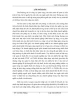 Các giải pháp tăng cường chống thất thu thuế GTGT và TNDN đối với các doanh nghiệp ngoài quốc doanh tại chi cục thuế huyện Đông Anh