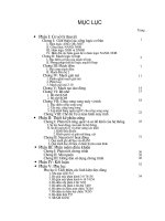 Màn hình quảng cáo ở chế độ văn bản sử dụng ma trận LED 5x7 có điều khiển máy tính phần 1