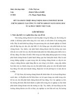 Hoàn thiện hoạt động bảo lãnh phát hành chứng khoán tại Công ty chứng khoán Ngân hàng Đầu tư và Phát triển Việt Nam