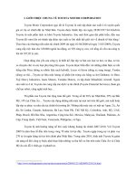 Phân tích chiến lược cạnh tranh của công ty Toyota