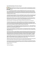 Internet Marketing Strategy 