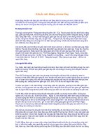 Khuyến mãi  Không chỉ màu hồng 