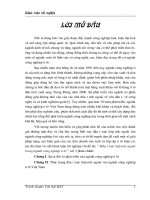 Đầu tư trực tiếp nước ngòai trong ngành công nghiệp ôtô