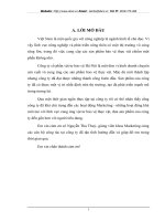 Thực tiến hoạt động marketing tại Công ty cổ phần vật tư bảo vệ Hà Nội