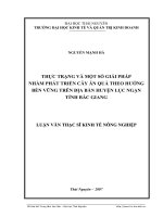 Thực trạng và một số giải pháp nhằm phát triển cây ăn quả theo hướng bền vững trên địa bàn huyện Lục Ngạn - tỉnh Bắc Giang