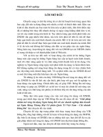 Giải pháp nhằm mở rộng tín dụng ngân hàng đối với các doanh nghiệp dân doanh tại VIB Đống Đa