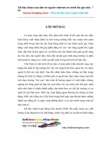 Giải pháp mở rộng hoạt động tín dụng tài trợ xuất nhập khẩu tại Ngân hàng NT.Doc