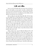 Đăng ký bảo hộ nhãn hiệu hàng hoá tại thị trường Hoa Kỳ