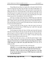 Hoàn thiện công tác kế toán tiêu thụ và xác định kết quả tiêu thụ hàng hoá tại Công ty TNHH thương mại và phát triển công nghệ Bách Khoa 4