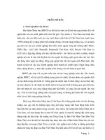 Giải pháp mở rộng thị phần Tổng công ty Bảo Việt Nhân thọ đến năm 2015