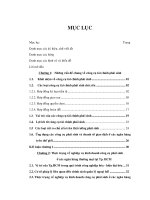 Một số giải pháp nhằm phát triển công cụ tài chính phát sinh ở các Ngân hàng thương mại tại Tp. HCM