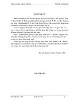 Tổ chức công tác kế toán nguyên vật liệu ở Công ty Cổ phần Bảo Linh