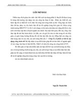 Bài thực tập cầu hai