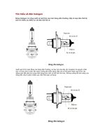Tìm hiểu về đèn halogen