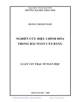 Nghiên cứu hiệu chỉnh hóa trong bài toán cân bằng