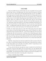 Chuyển mạch gói trong mạng quang WDM