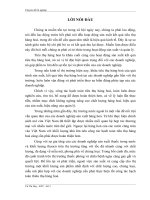 Hoạt động tiêu thụ sản phẩm tại công ty khoá Việt Tiệp . Thực trạng và giải pháp ( Hà nội)