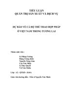 Dự báo về cá độ thể thao hợp pháp ở Việt Nam