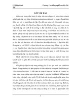 Tổ chức công tác kế toán nguyên vật liệu, công cụ dụng cụ ở công ty cổ phần đầu tư và xây dựng Đồng Tiến