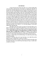 Hoàn thiện công tác kế toán bán hàng và xác định kết quả bán hàng tại Công ty cổ phần dược và thiết bị y tế Nam á