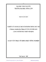 Nghiên cứu đánh giá một số mô hình trồng mây nếp