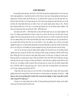 Phát triển sản phẩm rượu vang của Công ty CPSP thiên nhiên Vinacom