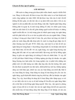 hạn chế rủi ro tín dụng tại ngân hàng thương mại cổ phần các doanh nghiệp ngoài quốc doanh VPBank