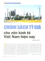 Chính sách tỷ giá cho nền kinh tế Việt Nam hiện nay