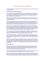 Hệ thống bán lẻ con đường để khẳng định 