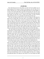 Xúc tiến thương mại trong thương mại điện tử và một số giải pháp với các doanh nghiệp Việt Nam