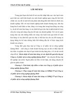 Hoàn thiện kế toán bán hàng và xác định kết quả tiêu thụ tại Công ty cổ phần vật tư nông nghiệp Quảng Bình