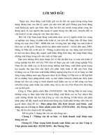 Biện pháp thúc đẩy kinh doanh xuất khẩu mặt hàng cao su ở Công ty Thực phẩm miền Bắc (fonexim) - Bộ Thương