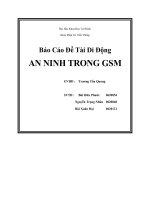 An ninh trong gsm