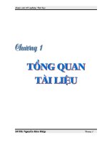 Quy trình chế biến sản phẩm Cơm nắm chương 1