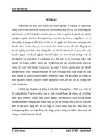 Phân tich hoạt động sản xuất kinh doanh tại Công ty Cổ phần Thương mại - Dịch vụ - Vận tải Xi măng Hoàng Thạch