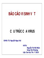 Cấu trúc cảu virus