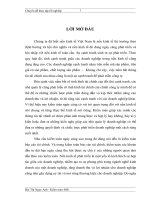 Kiểm toán các khoản đầu tư dài hạn tại Công ty Cổ phần đầu tư và phát triển đô thị Long Giang do AASC thực hiện