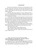 Chiến lược và chính sách kinh doanh của công ty TNHH Tuyết Nga.doc