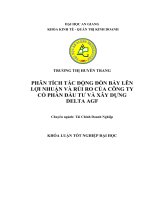 Phân tích tác động của đòn bẩy lên lợi nhuận và rủi ro của công ty cổ phần đầu tư và xây dựng Delta AGF -An Giang