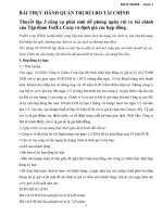 Thuyết lập 3 công cụ phái sinh để phòng ngừa rủi ro tài chính của Tập đoàn FedEx Corp.doc