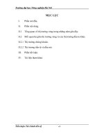 Tiểu luận thị trường vàng 2012